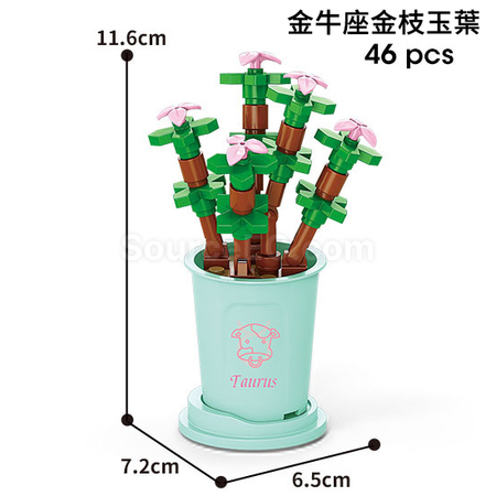 咖啡杯植物系列積木-12星座多肉植物系列