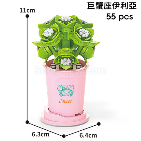 咖啡杯植物系列積木-12星座多肉植物系列