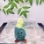 蔥薑蒜蔬菜鑰匙扣